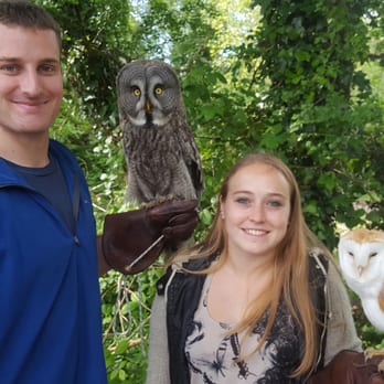 Killarney Falconry - This is Gandalf and Mr. D two Owls. We've never been up close and personal with one . - Hiking Near Me