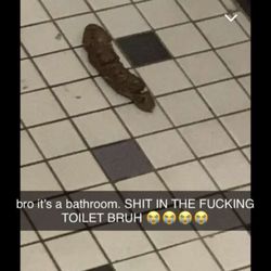 Baldwin-Whitehall School District - shit on the bathroom floor