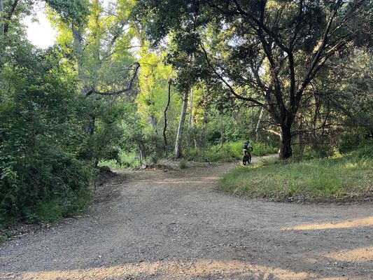 Marshall Canyon Regional Park by null