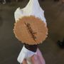 Photo of Gelateria Emilia