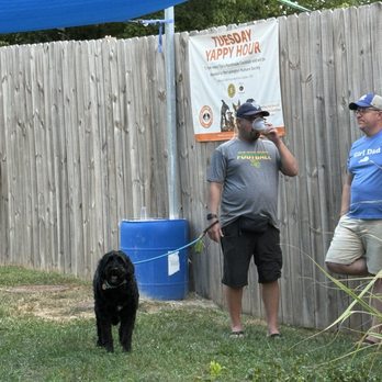Boonedogs - Pet friendly too. - Hot Dogs Near Me - Lexington, Kentucky