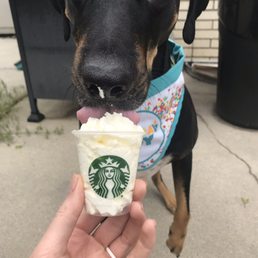 Puppuccino lovin' Puppuccino lovin'