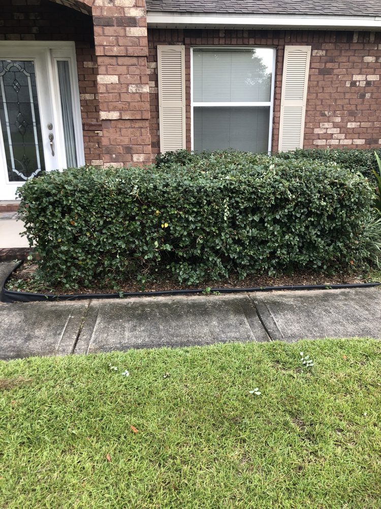 Slide of Workhorse Landscaping & property maintenance