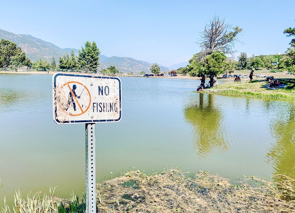 GLEN HELEN REGIONAL PARK 124 Photos & 33 Reviews 2555 Glen Helen