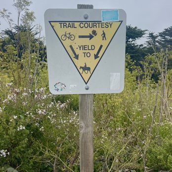Bird Walk Coastal Access Trail - Parks Near Me - Bodega Bay, California Bird Walk Coastal Access Trail - Parks Near Me - Bodega Bay, California