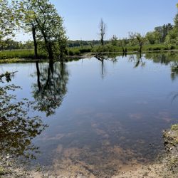 Ipswich River Wildlife Sanctuary