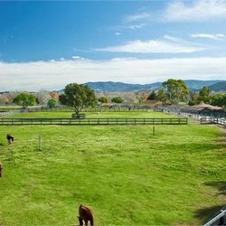 Pollyrich Farms - Green pastures