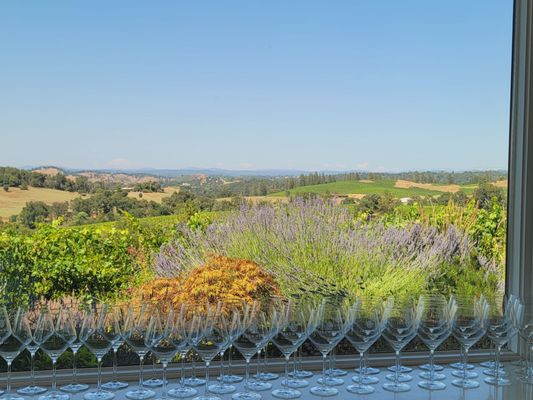 Iron Hub Winery by null