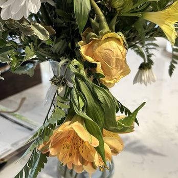 Hillcrest Floral - Florists Near Me - Boise, Idaho Hillcrest Floral - Florists Near Me - Boise, Idaho