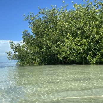 Beach at Founders Park - Bring scuba gear ! - Beaches Near Me - Islamorada, Florida