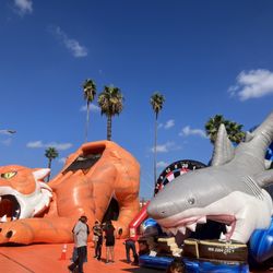 Buena Park Pumpkin Patch