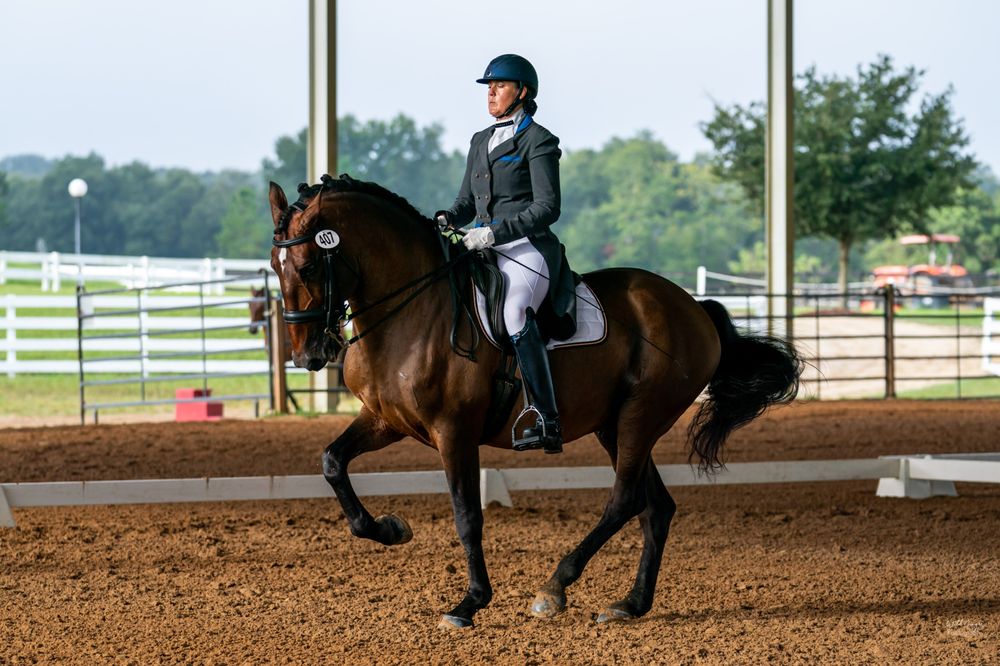 RKC Dressage - equestrian in Morriston, FL