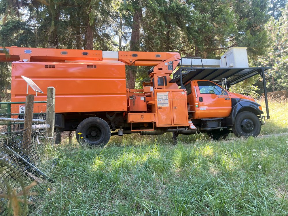 Tree Pro - tree service in Cottage Grove, OR