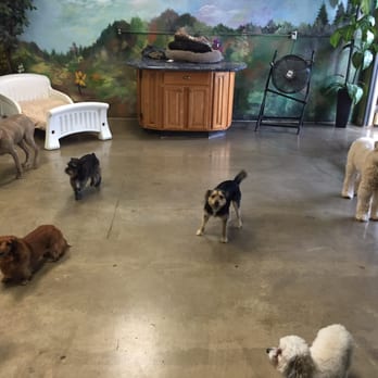 The Spaw - My dog having a great time! (He's even smiling)  :) - Pet Groomers Near Me - Tustin, California