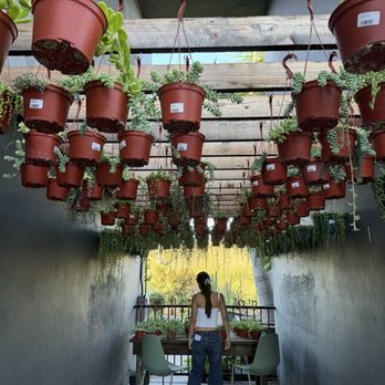 Selva Coffee House - inside - Coffee Roasteries Near Me - San Diego, California