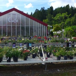 Ösmo Plantshop - Ösmo Plantshop