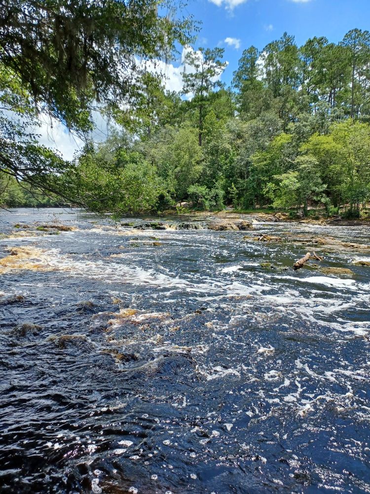 Big Shoals State Park Image