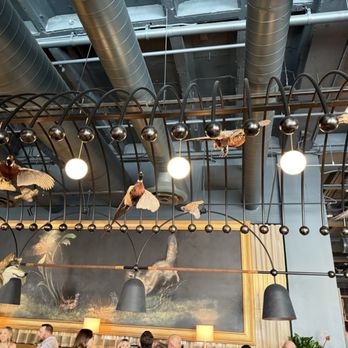 Wren & Wolf - Some taxidermy in the dining room - Cocktail Bars Near Me - Phoenix, Arizona