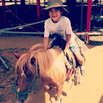 Sharkarosa Wildlife Ranch - the pony ride - Attraction Farms Near Me - Pilot Point, Texas Sharkarosa Wildlife Ranch - the pony ride - Attraction Farms Near Me - Pilot Point, Texas