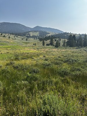 Jake's Horses Inc. by null