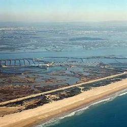Playa Del Castillo