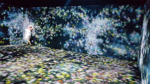 Rice University Moody Center For The Arts by null