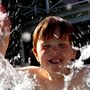 Photo of Dinosaur Swim Club