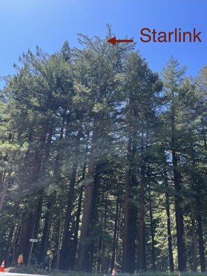 Starlink - Tree-Top Installations - Installation of Starlink Gen2 Antenna on top of tall trees in order to achieve clear line of sight for internet service. Starlink - Tree-Top Installations - Installation of Starlink Gen2 Antenna on top of tall trees in order to achieve clear line of sight for internet service.