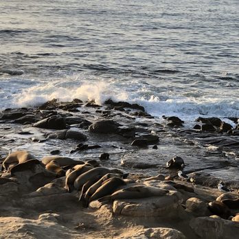 La Jolla Cove - See lions - Parks Near Me - La Jolla, California La Jolla Cove - See lions - Parks Near Me - La Jolla, California
