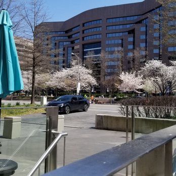 Mezeh - The view during cherry blossom season - Mediterranean Near Me - Arlington, Virginia Mezeh - The view during cherry blossom season - Mediterranean Near Me - Arlington, Virginia