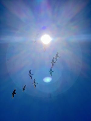 Zuma Beach by null