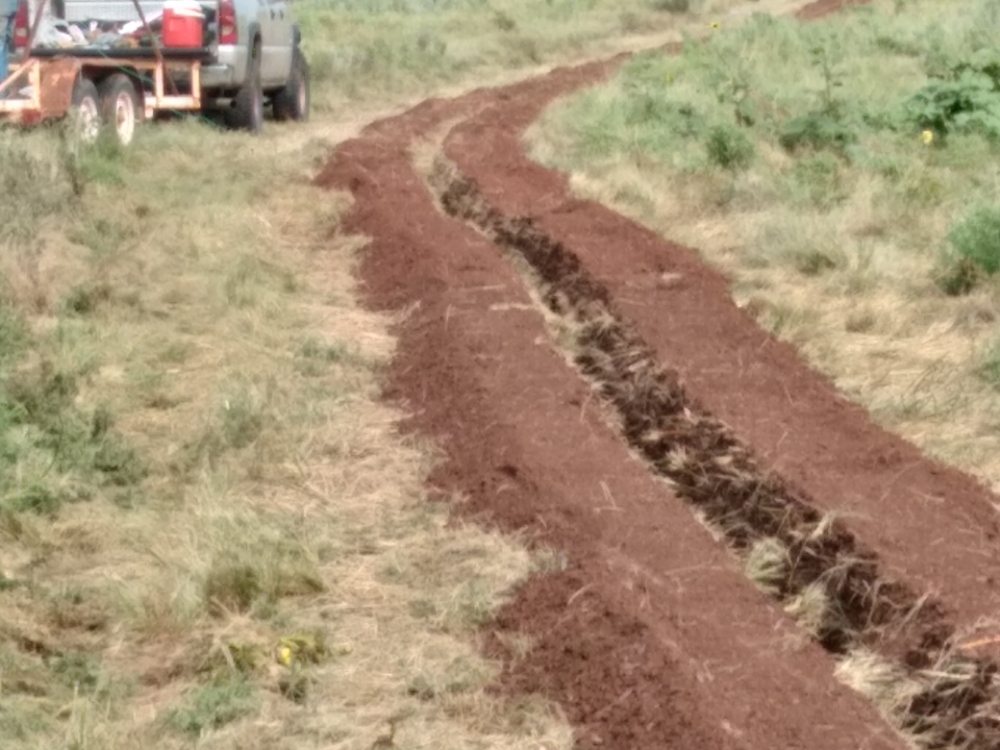 Slide of Young's plumbing