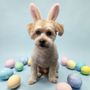 Photo of Woofy Wash Mobile Dog Grooming