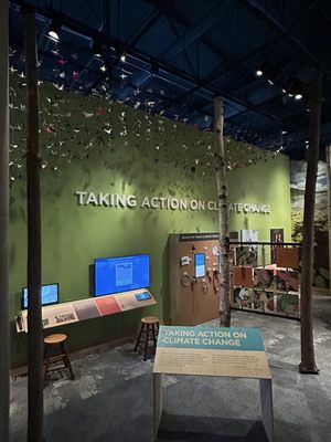 The Wild Center by null