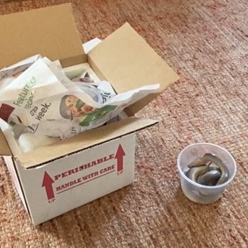 Backwater Reptiles - Shipping box and dead snake. - Reptile Shops Near Me - Rocklin, California Backwater Reptiles - Shipping box and dead snake. - Reptile Shops Near Me - Rocklin, California