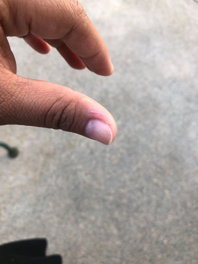 NAILPLAY STUDIO 31 Photos & 52 Reviews 27 N 7th St, Allentown, Pennsylvania Nail Salons