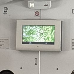 Turkish Airlines