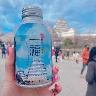 Himeji Castle by null