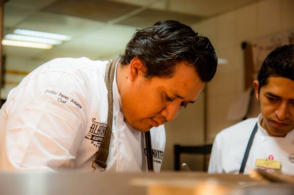 Mi Tierra Linda by null