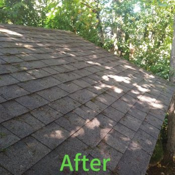 Vancouver Pest Solutions - Pest Control Near Me - Vancouver, Washington Vancouver Pest Solutions - Pest Control Near Me - Vancouver, Washington