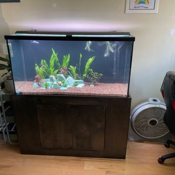 Tropical Imports - 80 gallon aquarium setup - Pet Stores Near Me - Glendale, California Tropical Imports - 80 gallon aquarium setup - Pet Stores Near Me - Glendale, California