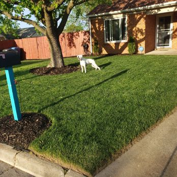 Strawbridge Lawn & Landscape - After grade and sod - Lawn Services Near Me Strawbridge Lawn & Landscape - After grade and sod - Lawn Services Near Me