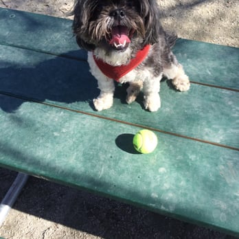 Towers Park - Taking a break on one of the two benches. Enjoying the 60 degree day - Dog Parks Near Me - Arlington, Virginia Towers Park - Taking a break on one of the two benches. Enjoying the 60 degree day - Dog Parks Near Me - Arlington, Virginia