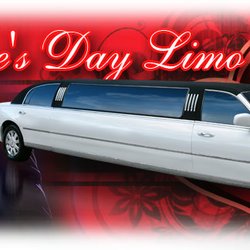 A1 Party Bus Rental