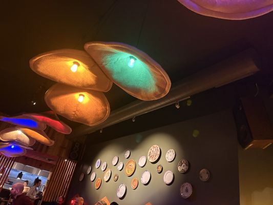 Anelya by null Anelya by null