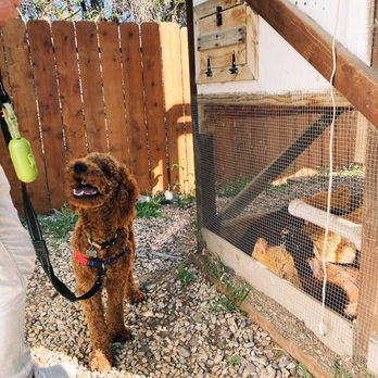 Angie Fonseca - Pet Training Near Me