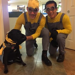 Berman and Masoud Orthodontics - Halloween 2015