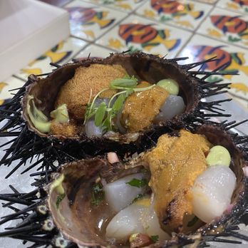 Holbox - Sea urchin - Latin American Near Me - Los Angeles, California Holbox - Sea urchin - Latin American Near Me - Los Angeles, California