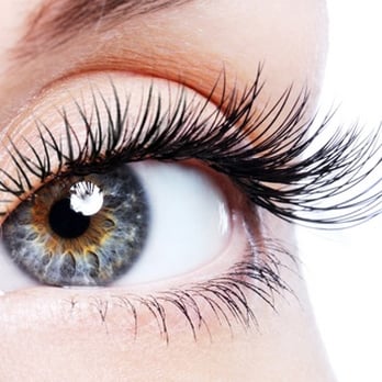 Full Spectrum Beauty - Eyelash Service Near Me - Denver, Colorado Full Spectrum Beauty - Eyelash Service Near Me - Denver, Colorado