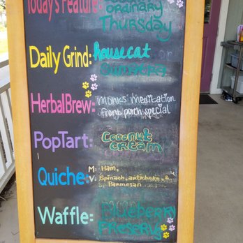 BuzzCatz Coffee & Sweets - Daily - Coffee & Tea Near Me - Orange Beach, Alabama
